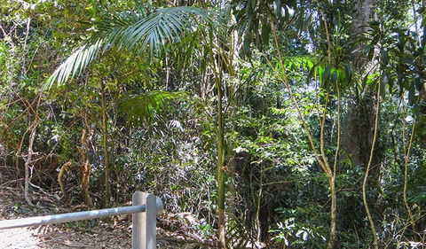 Goorgana Walking Track - Attractions Sydney 0