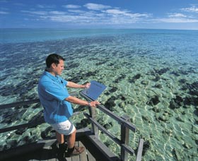 Hamelin Pool Stromatolites - Attractions Sydney 2