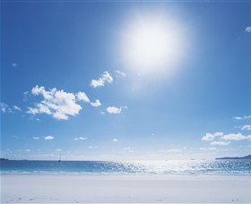 Hawks Nest Beach - Attractions Sydney 0