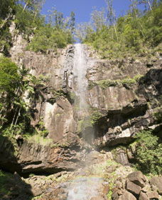The Channon NSW Attractions Sydney