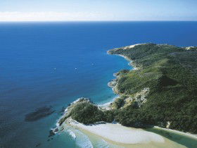 Mount Tempest - Attractions Sydney 0