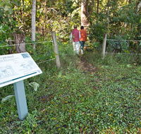Coramba Nature Reserve - Attractions Sydney