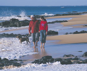 Back Beach - Attractions Sydney 0