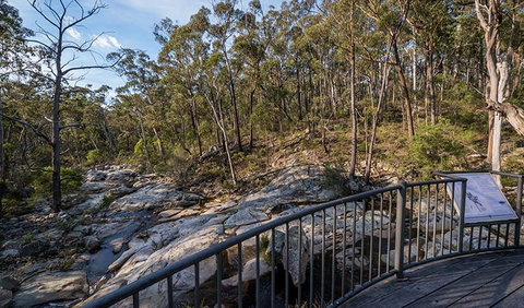 Myanba Gorge Walking Track - Attractions Sydney 0