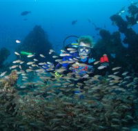 Aarhus Dive Site - Attractions Sydney