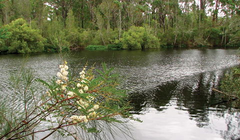 Wallingat National Park - Attractions Sydney 0