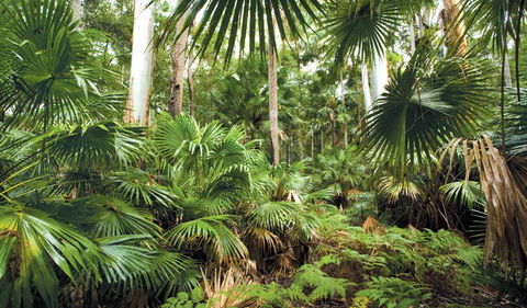 Wallingat National Park - Attractions Sydney 3