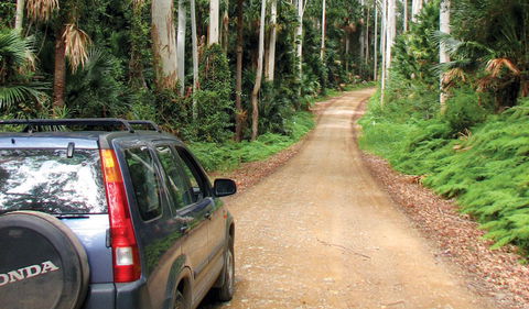 Wallingat National Park - Attractions Sydney 2