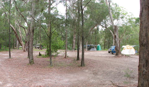 Wallingat National Park - Attractions Sydney 1