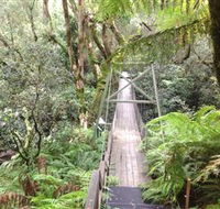 Bemm River Scenic Reserve - Attractions Sydney