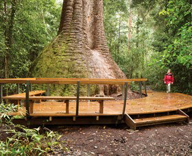 Herons Creek NSW Attractions Sydney