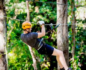 Currumbin Waters QLD Attractions Sydney