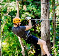 TreeTop Challenge Currumbin - Attractions Sydney