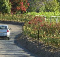 Cassegrain Wines - Attractions Sydney