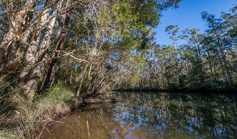 Queens Lake Nature Reserve - Attractions Sydney 3