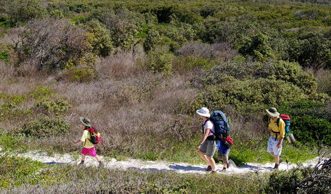 Yuraygir Coastal Walk - Attractions Sydney 0