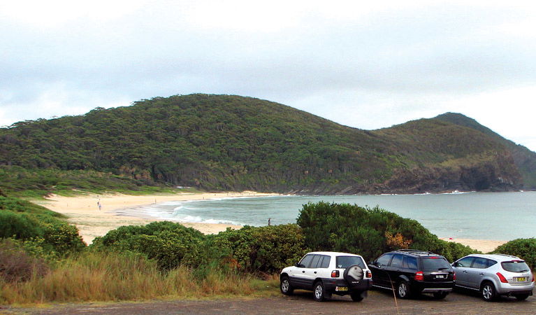Elizabeth Beach NSW Attractions Sydney