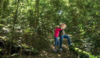 Book Iluka Accommodation Vacations Attractions Sydney Attractions Sydney