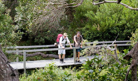 Wilsons Headland Walking Track - Attractions Sydney 0