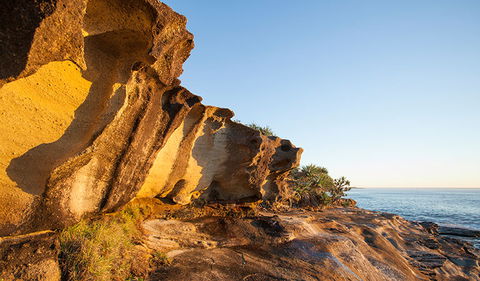 Angourie To Brooms Head - Attractions Sydney 0