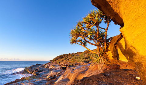 Angourie To Brooms Head - Attractions Sydney 1