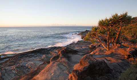 Angourie To Brooms Head - Attractions Sydney 2
