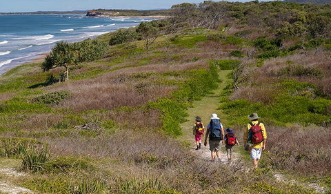 Angourie To Brooms Head - Attractions Sydney 3