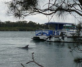 Dunbogan Boatshed - Attractions Sydney 2