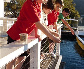 Dunbogan Boatshed - Attractions Sydney 3