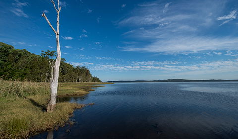 Lake Innes Nature Reserve - Attractions Sydney 0