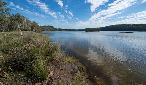 Lake Innes Nature Reserve - Attractions Sydney 1