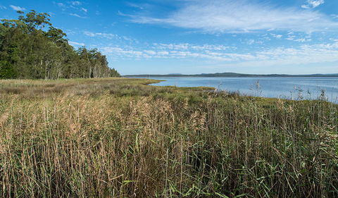 Lake Innes Nature Reserve - Attractions Sydney 3