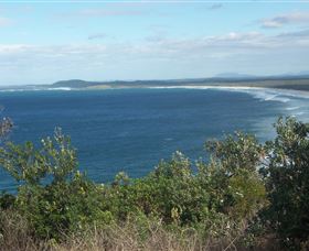 Delicate Beach - Attractions Sydney 0
