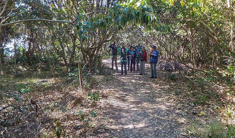 Brunswick Heads Nature Reserve - Attractions Sydney 3