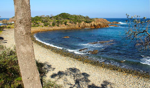 Mimosa Rocks Walking Track - Attractions Sydney 2