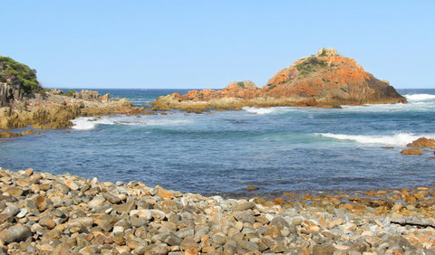 Mimosa Rocks Walking Track - Attractions Sydney 3