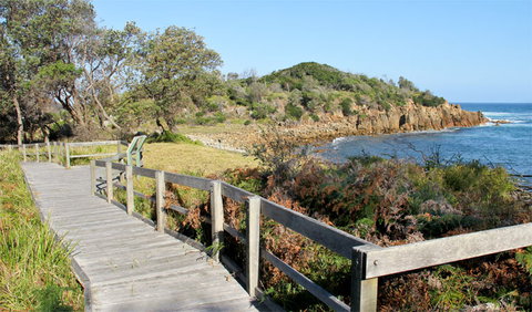 Mimosa Rocks Walking Track - Attractions Sydney 0