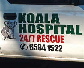 Koala Hospital - Attractions Sydney 8