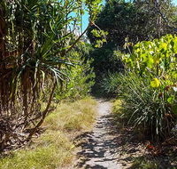 North Head walking track - Attractions Sydney