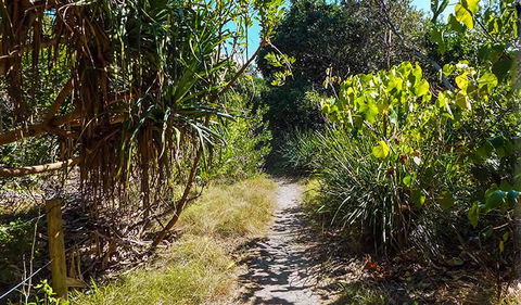 North Head Walking Track - Attractions Sydney 0