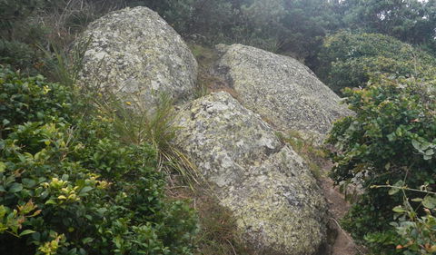 Korogoro Walking Track - Attractions Sydney 2