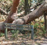 Middle Lagoon walking track