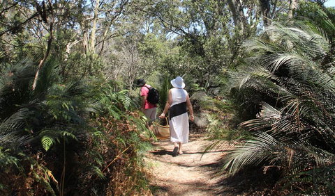 Nelson Lagoon - Attractions Sydney 0