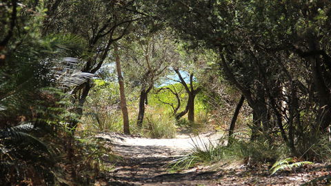 Nelson Beach - Attractions Sydney 1