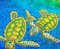 Sea Silks Gallery