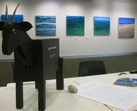 Lone Goat Gallery