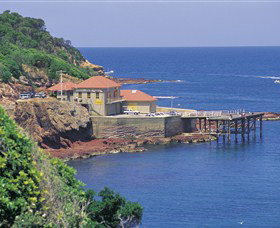 Merimbula Aquarium - Attractions Sydney 0