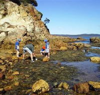 Sapphire Coast Marine Discovery Centre - Attractions Sydney