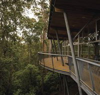 Tarkine Forest Adventures - Dismal Swamp - Attractions Sydney