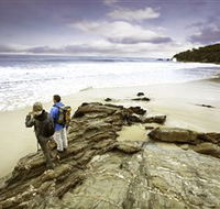 Wilderness Coast Walk - Attractions Sydney